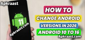 How to Check Android Version on Any Phone